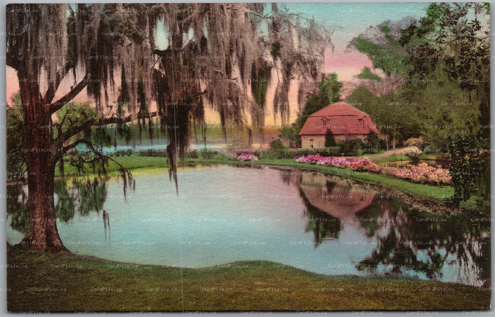 Postcard Charleston South Carolina Old Rice Mill Middleton Gardens Albertype