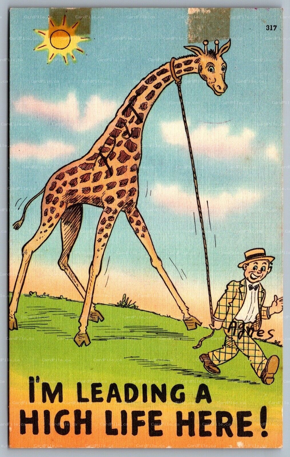 Postcard c1940s I’m Leading A High Life Here Giraffe On a Leash