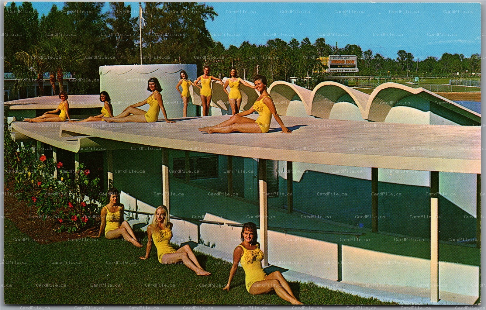 Postcard Weeki Wachee Florida Underwater Aqua Theatre Live Mermaids Pretty Women