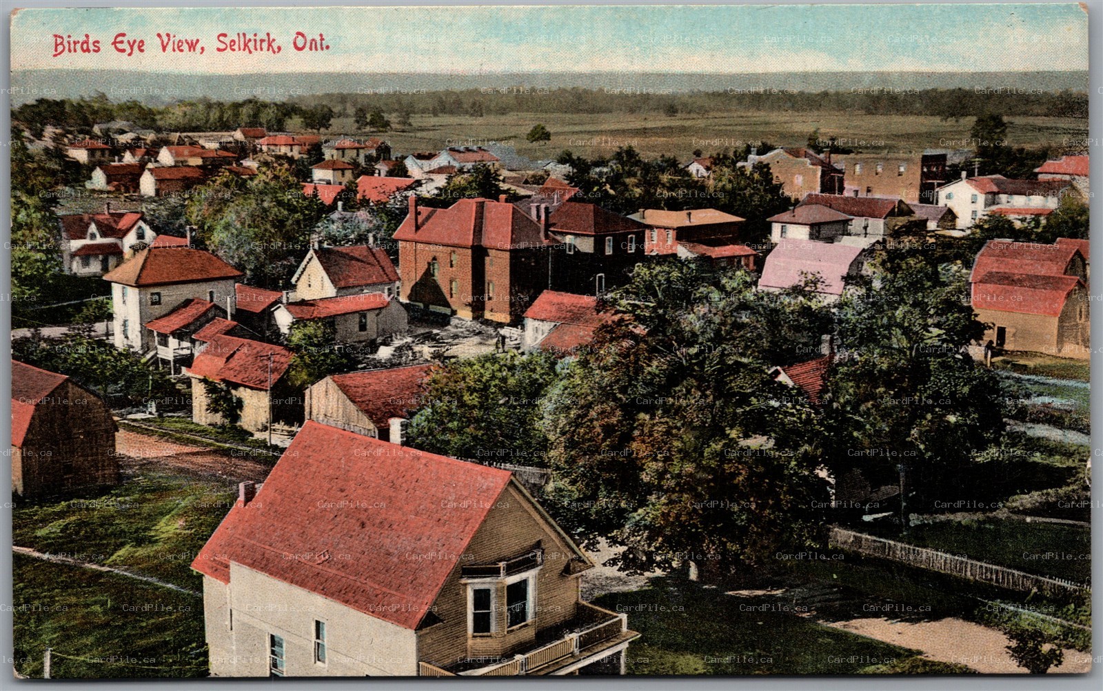 Postcard Selkirk Ontario c1910s Birds Eye View Haldimand County by Pugh