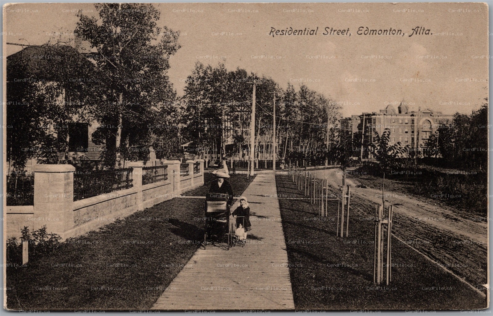 Postcard Edmonton Alberta c1910s Residential Street Baby Carriage 