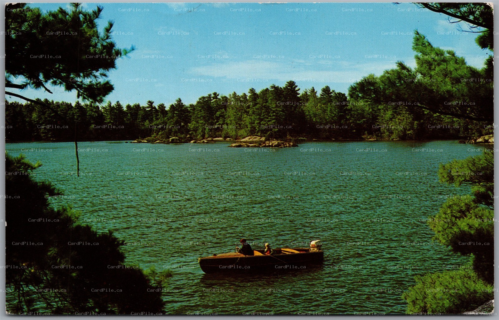 Postcard Cloyne Ontario 1962 Greetings from Loon Lake Lodge Scenic View
