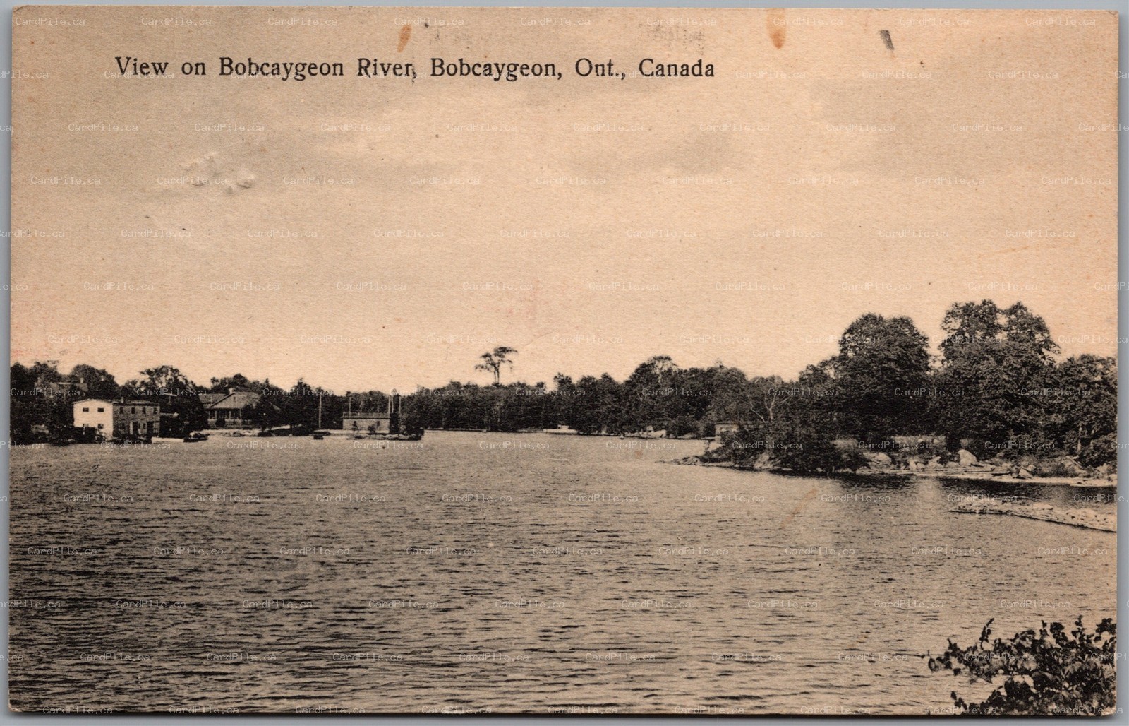 Postcard Bobcaygeon Ontario 1931 Scenic View on Bobcaygeon River Victoria County