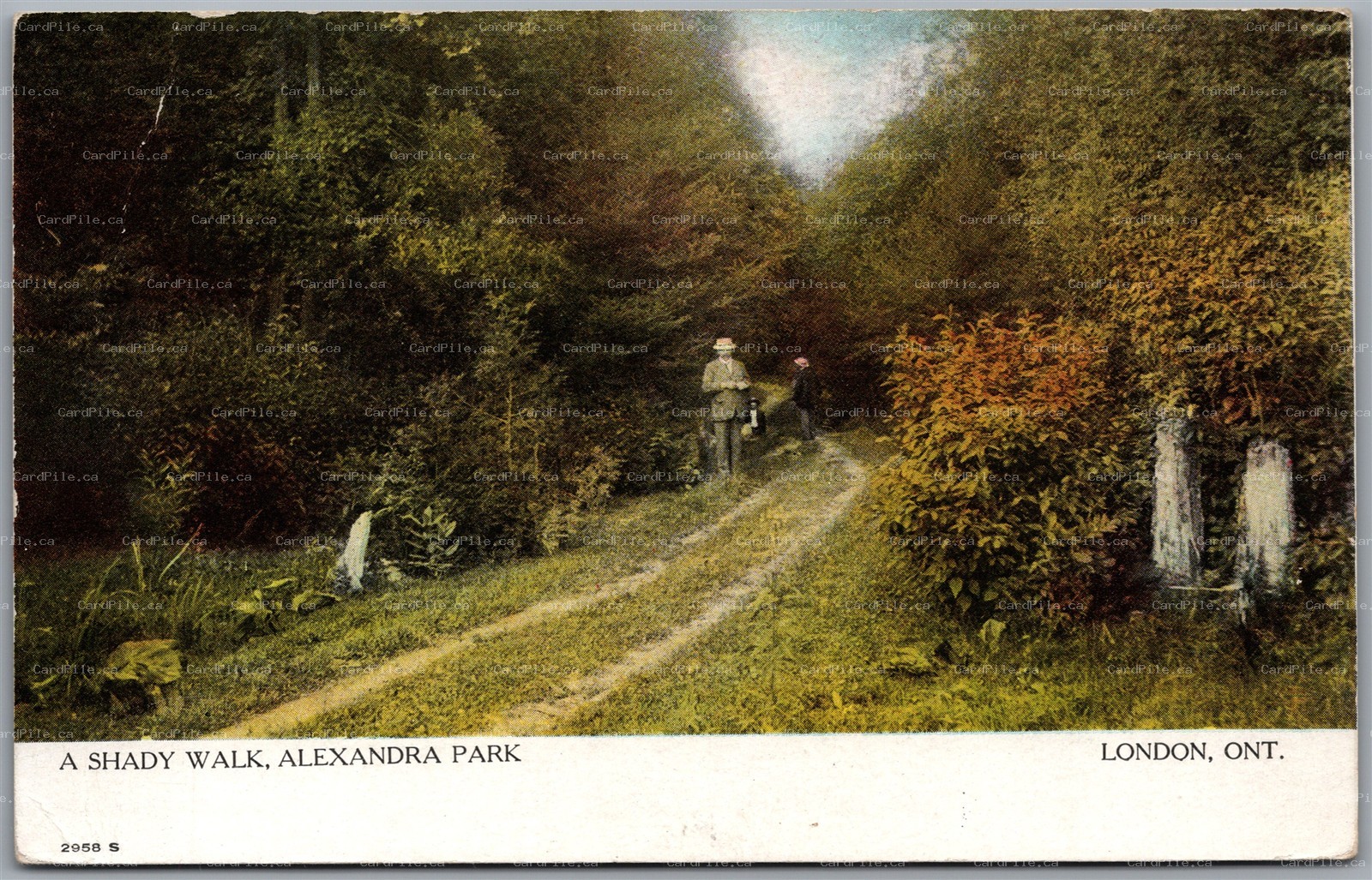 Postcard London Ontario c1907 A Shady Walk Alexandra Park by Warwick