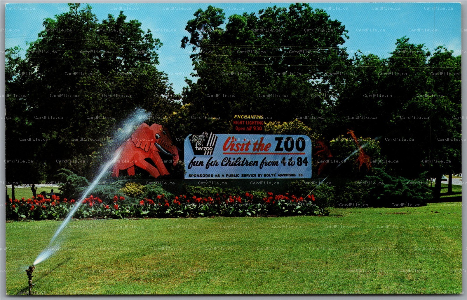 Postcard Fort Worth Texas World Famous Zoological Park Zoo Attractions