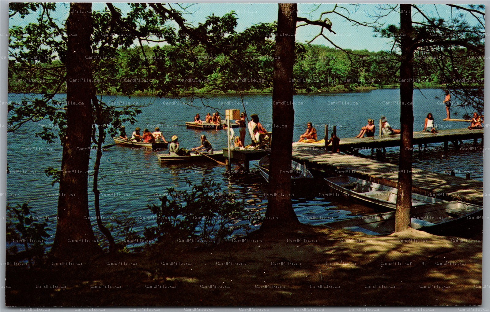 Postcard Windsor New York Swim Area South Shore Sky Lake Wyoming Conference