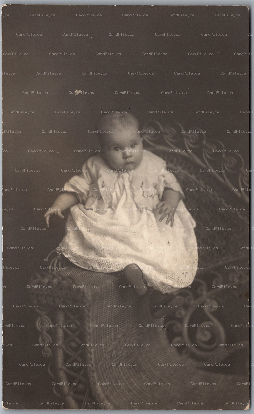 Postcard RPPC Baby Studio Portrait on Ornate Wicker Chair Real Photo