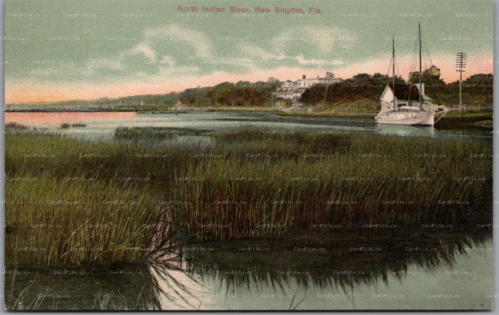 Postcard New Smyrna Florida North Indian River Scenic View Volusia County
