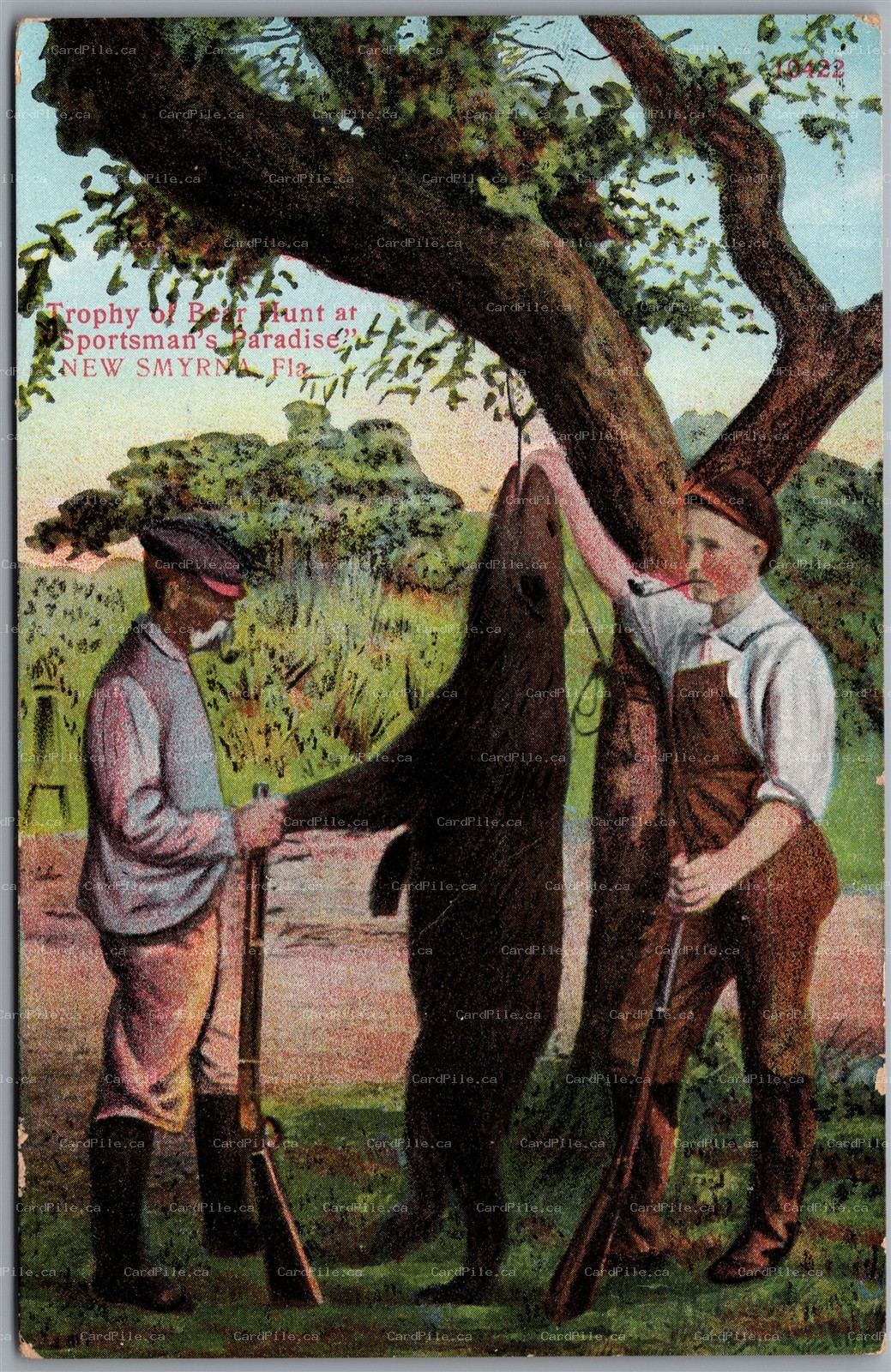 Postcard New Smyrna Florida Bear Hunt Trophy Sportsman’s Paradise Volusia County