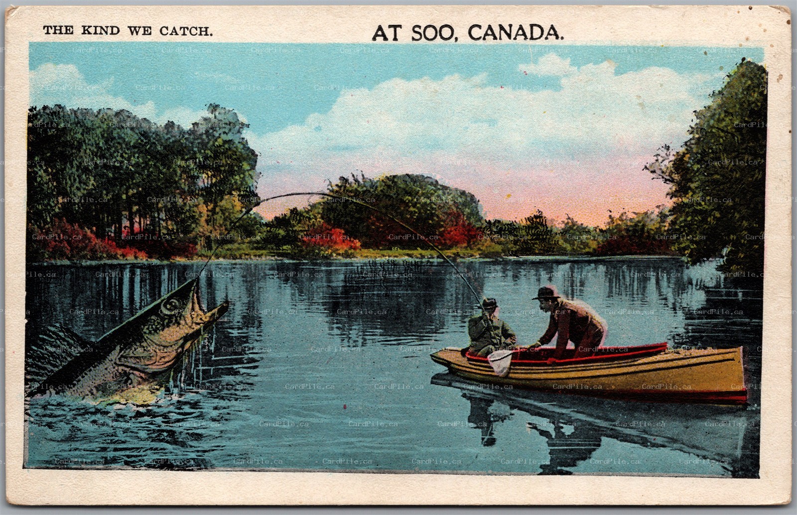 Postcard Sault Ste. Marie Ontario The Kind We Catch Fishing Exaggeration