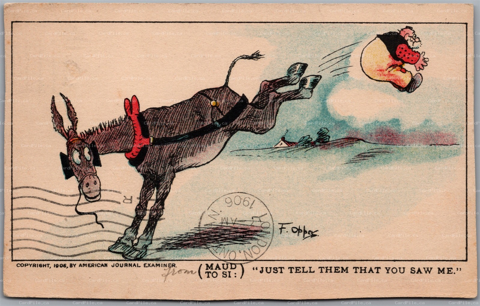 Postcard c1906 Maud the Donkey Kicks Rider Artist Signed F. Opper