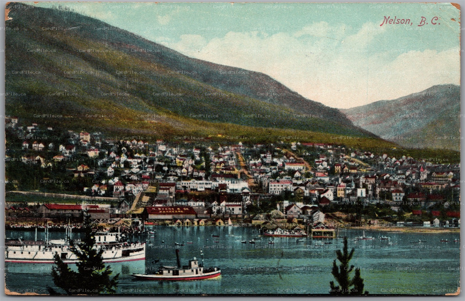 Postcard Nelson British Columbia 1910s Scenic Town View Kootenay River Selkirk's