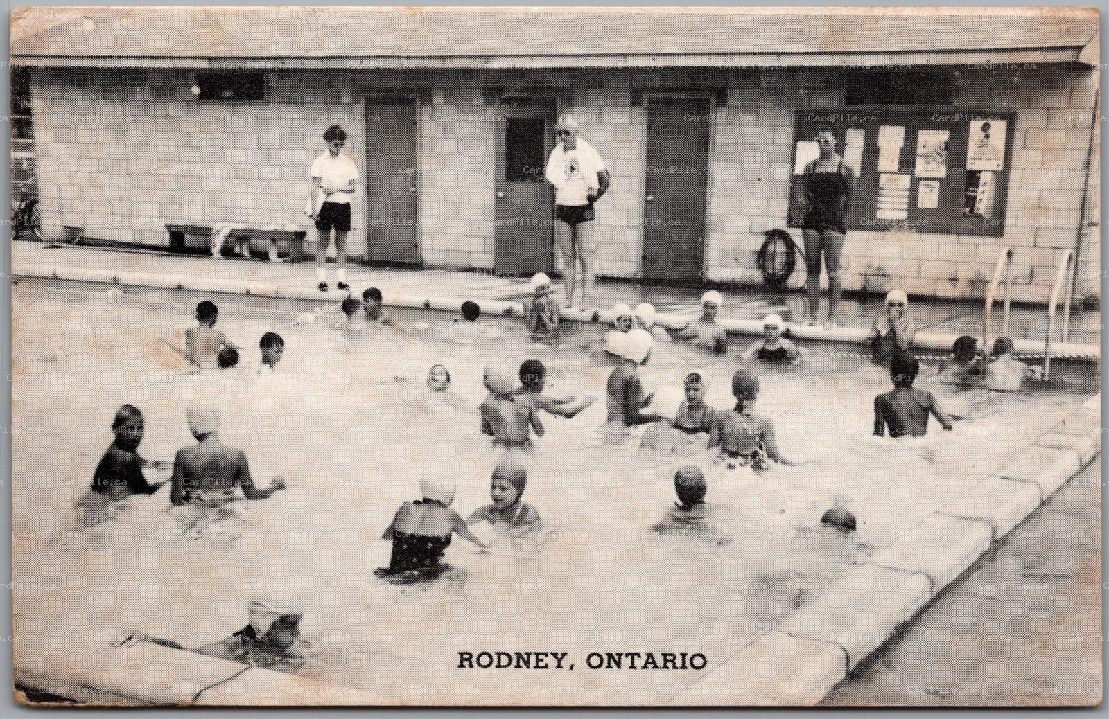 Postcard Rodney Ontario Swimming Pool Elgin County
