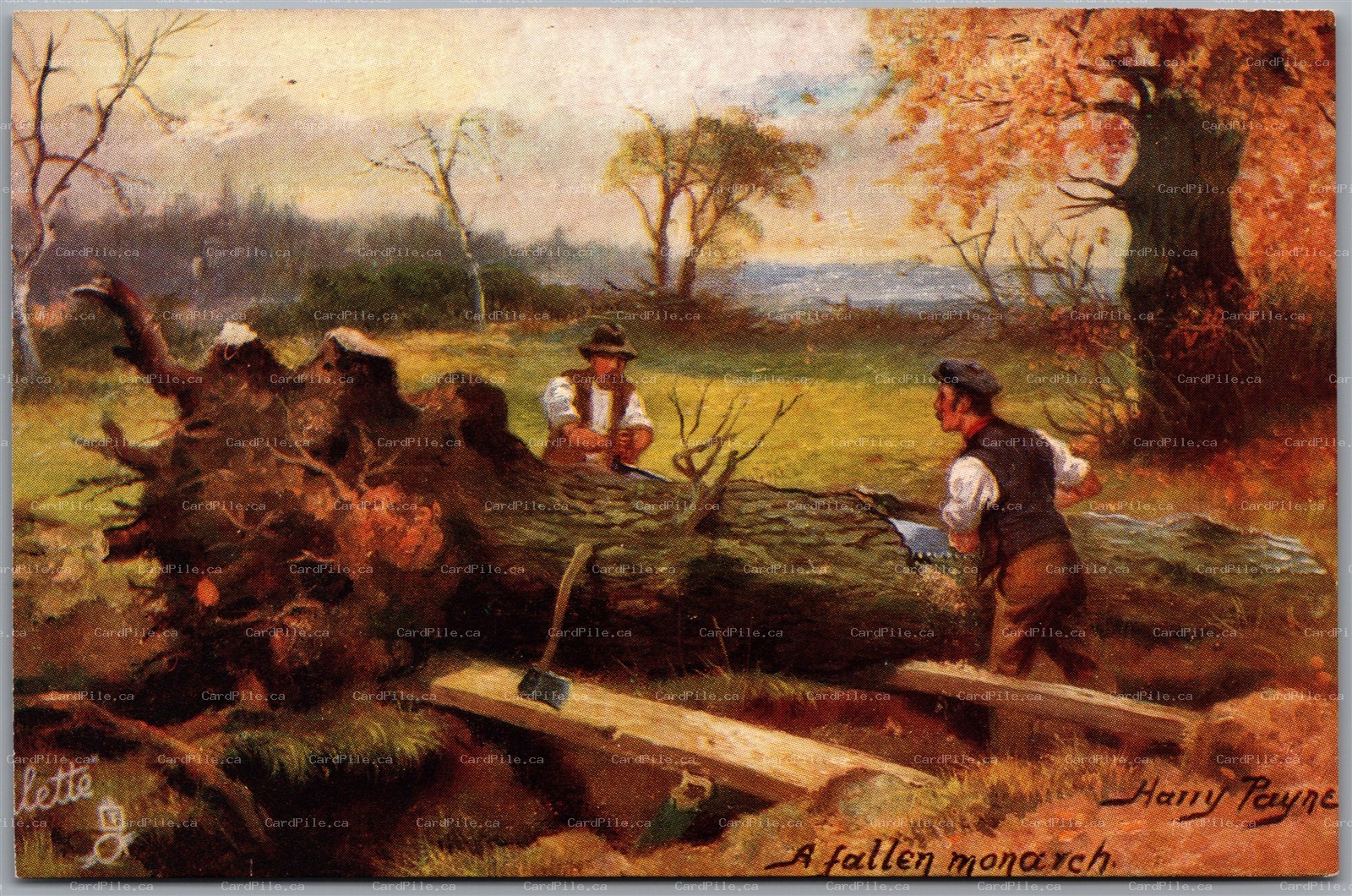 Postcard A Fallen Monarch Logging Scene A/S Harry Payne Tuck’s Oilette 9336