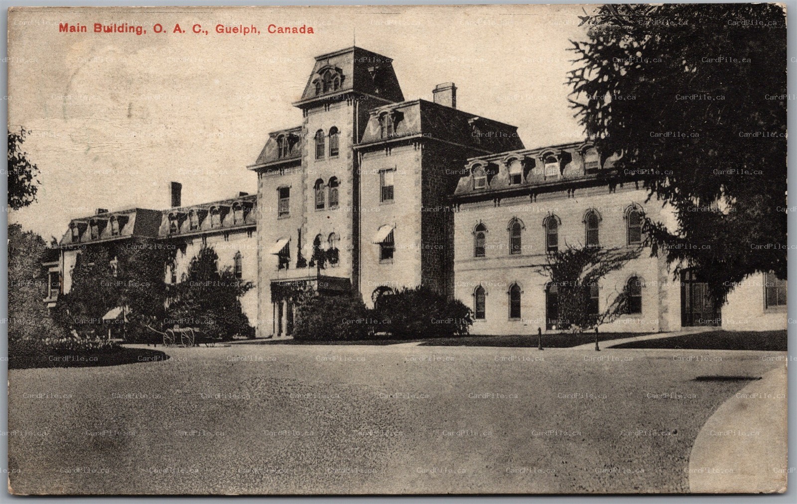 Postcard Guelph Ontario OAC Main Building Ontario Agricultural College by Rumsey