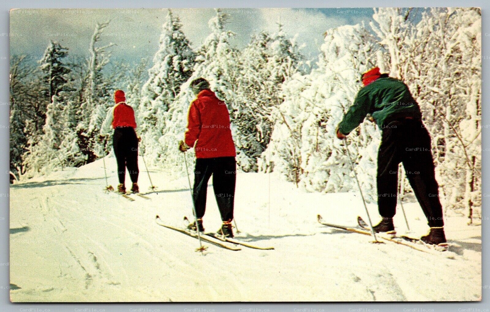 Postcard c1960s New Hampshire On The Ski Trail by Photographer Don Sieburg