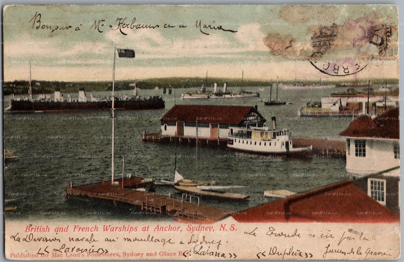 Postcard Sydney Nova Scotia 1906 British and French Warships at Anchor *as is*