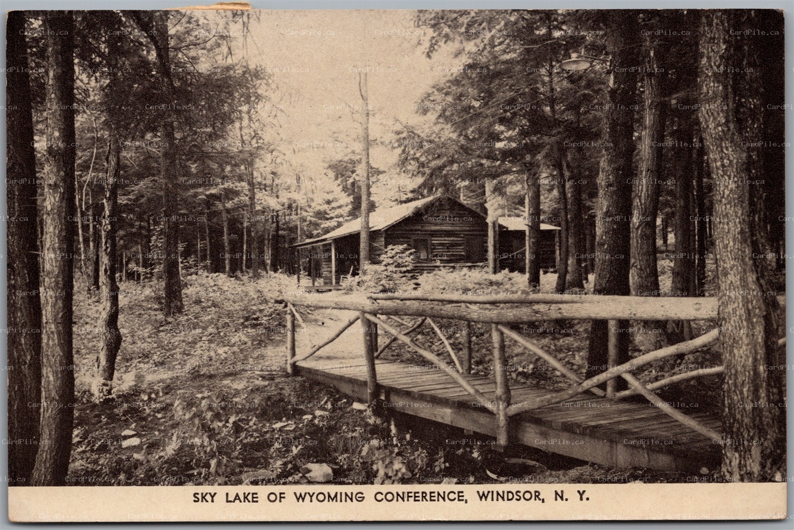 Postcard Windsor New York 1957 Sky Lake of Wyoming Conference East Shore Cottage