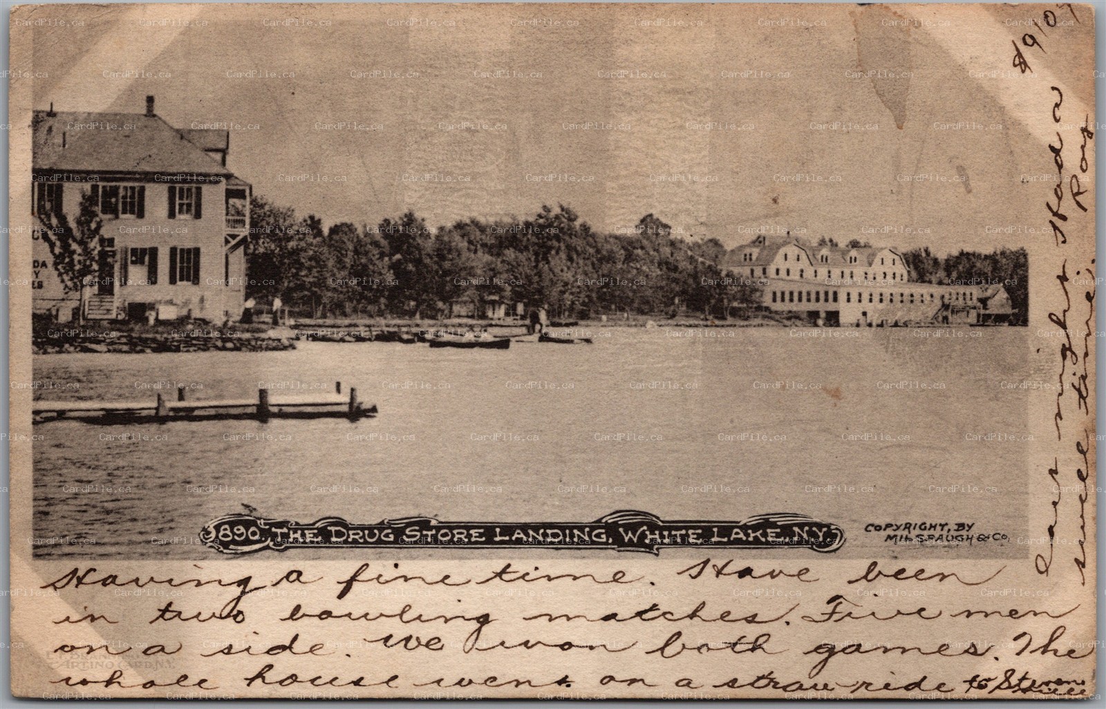 Postcard White Lake New York c1909 The Drug Store Landing Sullivan County