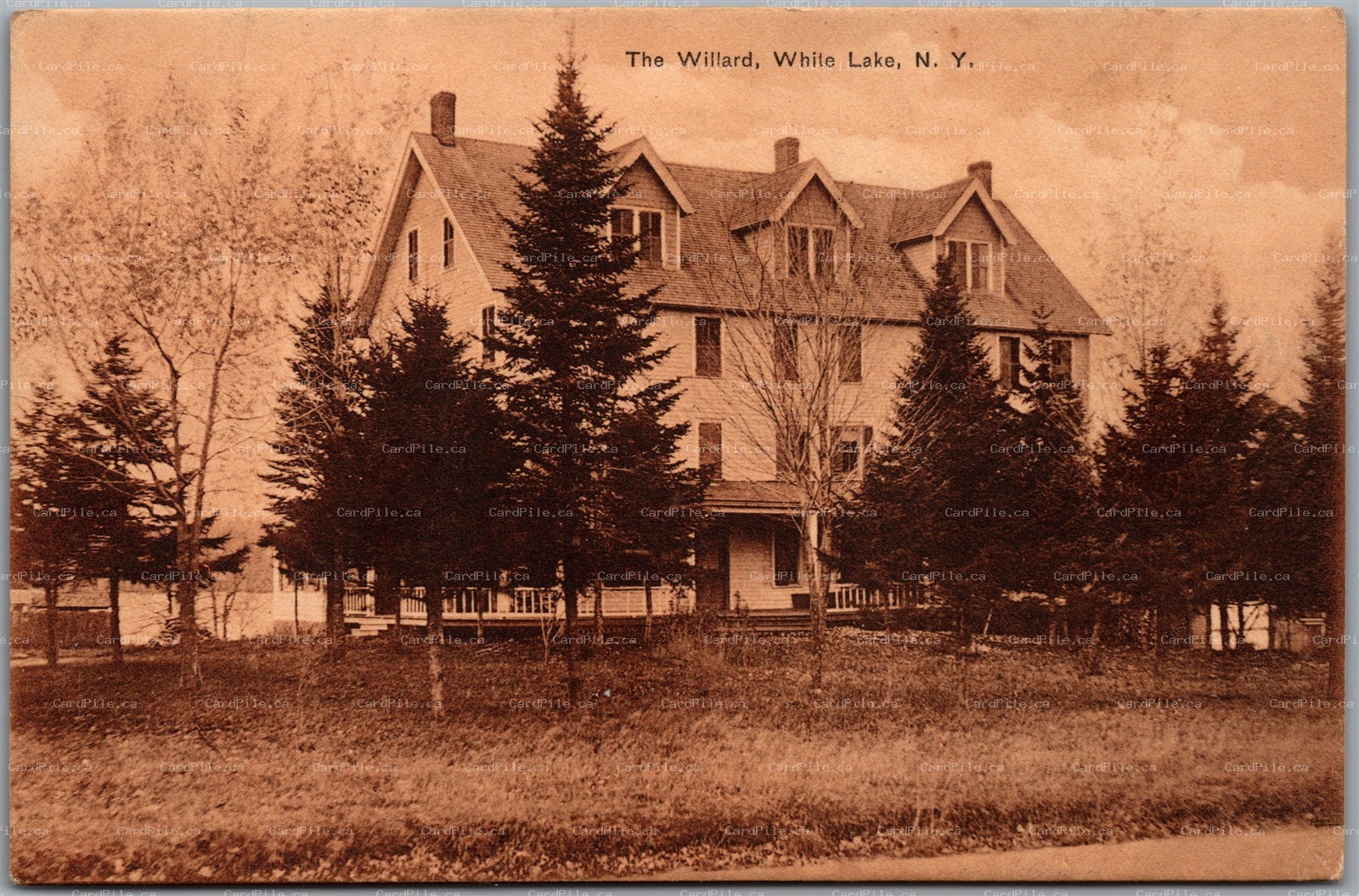 Postcard White Lake New York The Willard Sullivan County