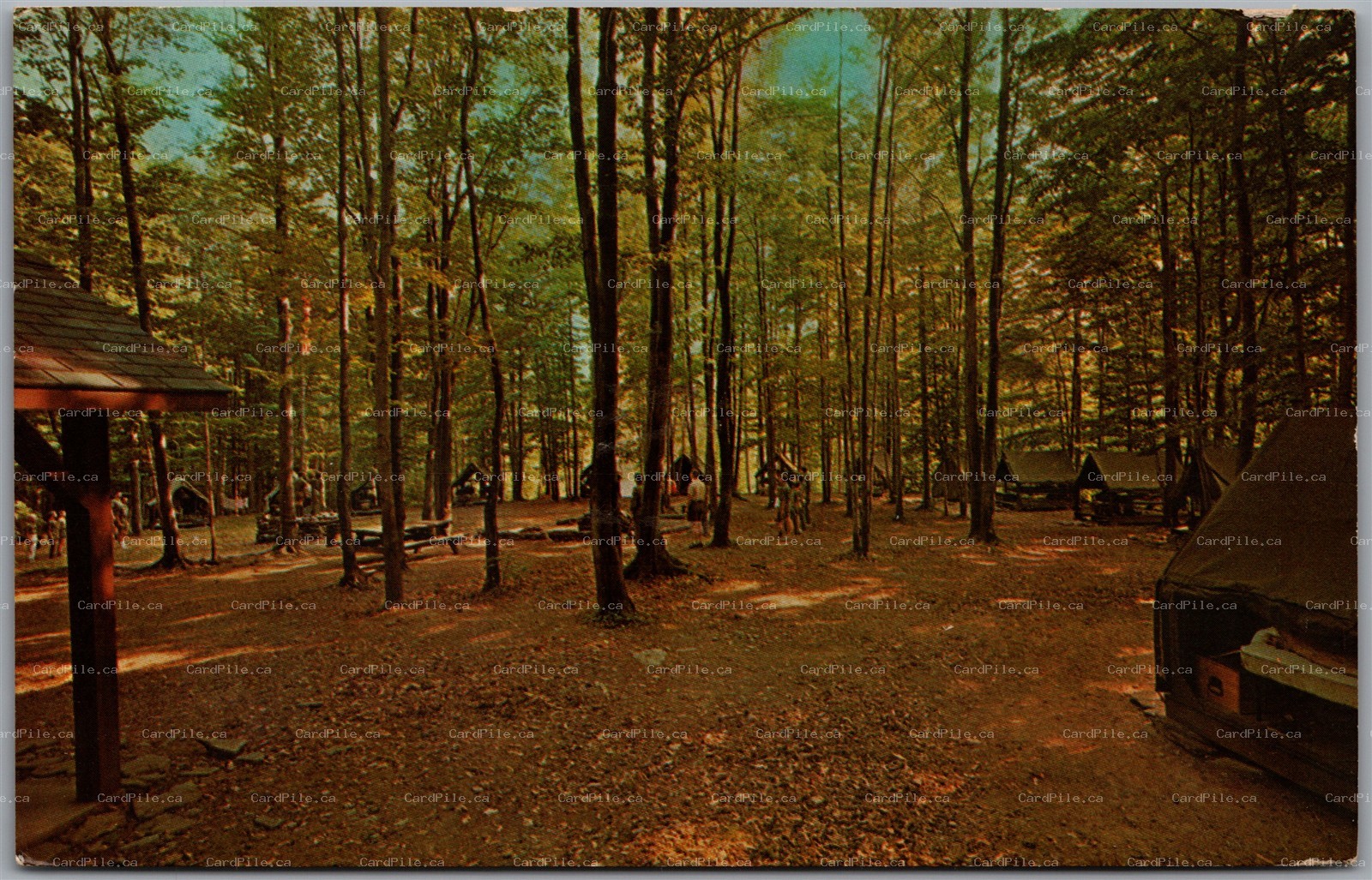 Postcard Windsor New York c1969 Tuscarora Boy Scout Camp Summit Lake Boats