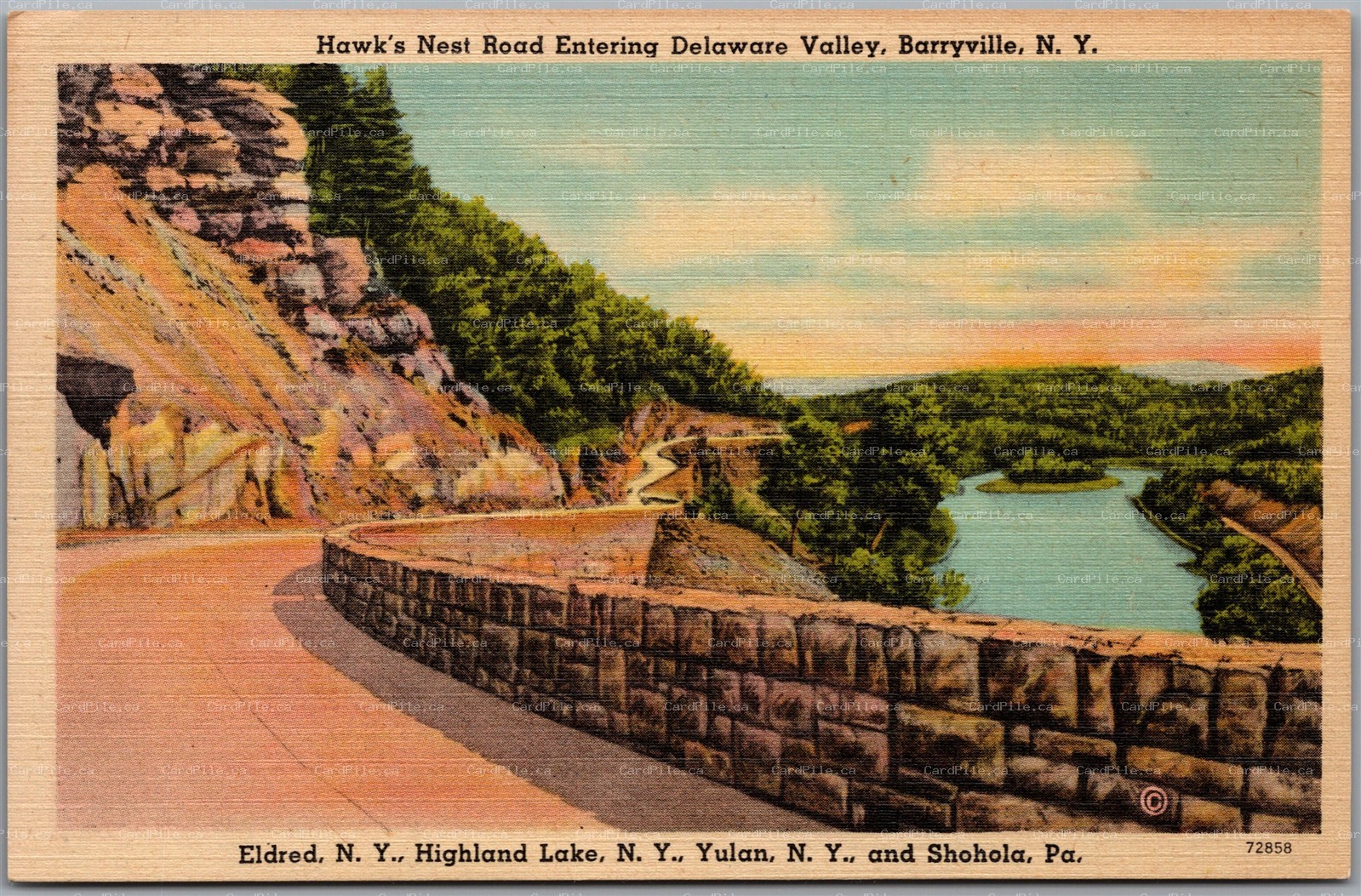 Postcard Barryville New York Hawk’s Nest Road Delaware Valley Scenic View