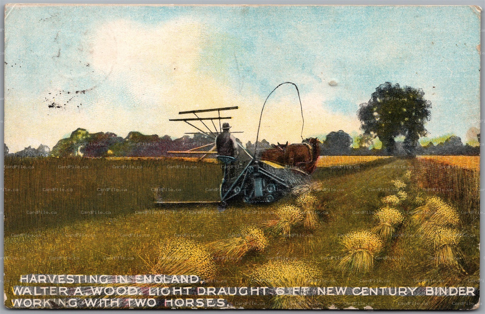 Postcard c1909 Harvesting In England Walter A. Wood Draught Binder Two Horses