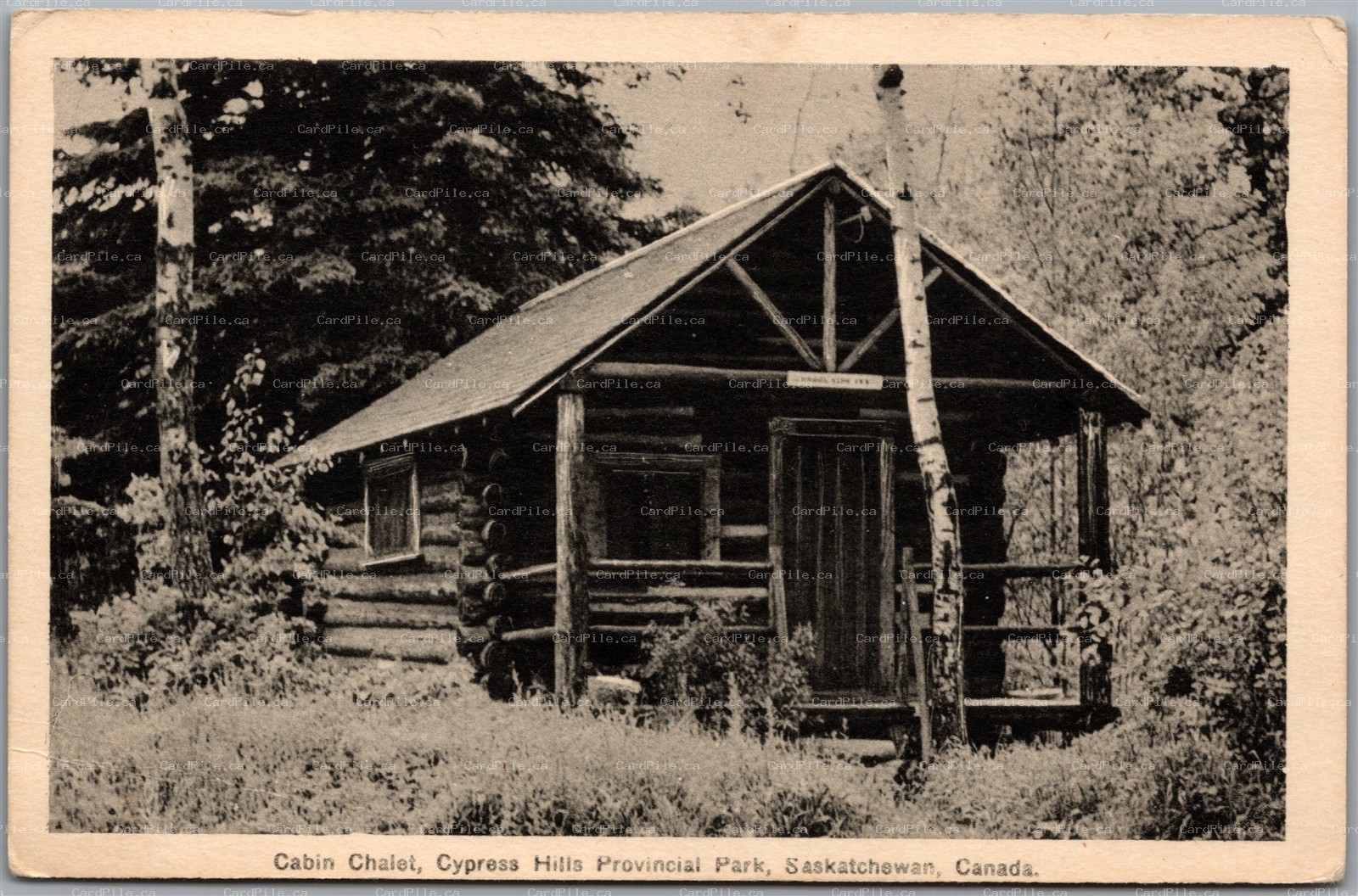 Postcard Cypress Hills Provincial Park Maple Creek Saskatchewan Cabin Chalet