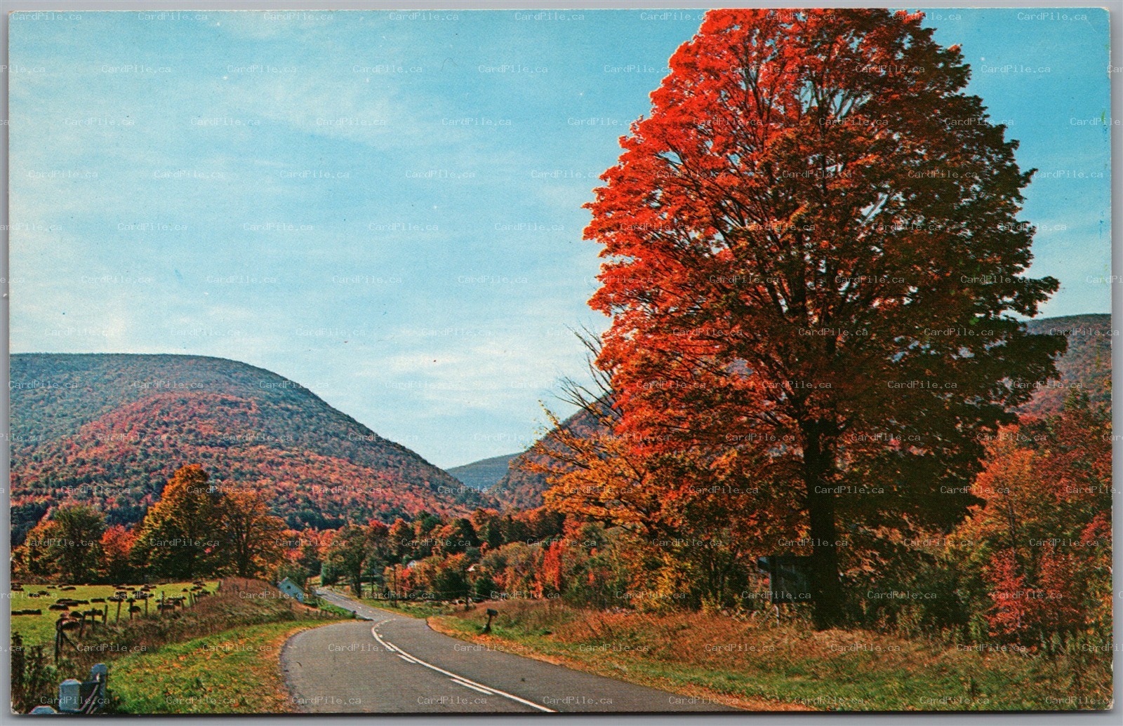 Postcard Catskill Mountains New York Autumn View Westkill Notch Route 42