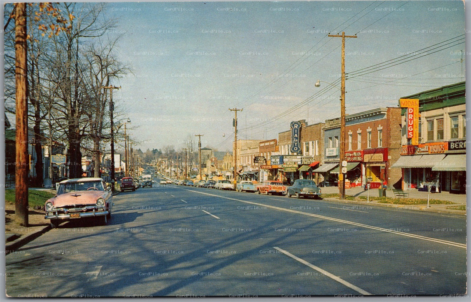 Postcard Monticello New York Broadway Avenue Classic Caars Shops Signs