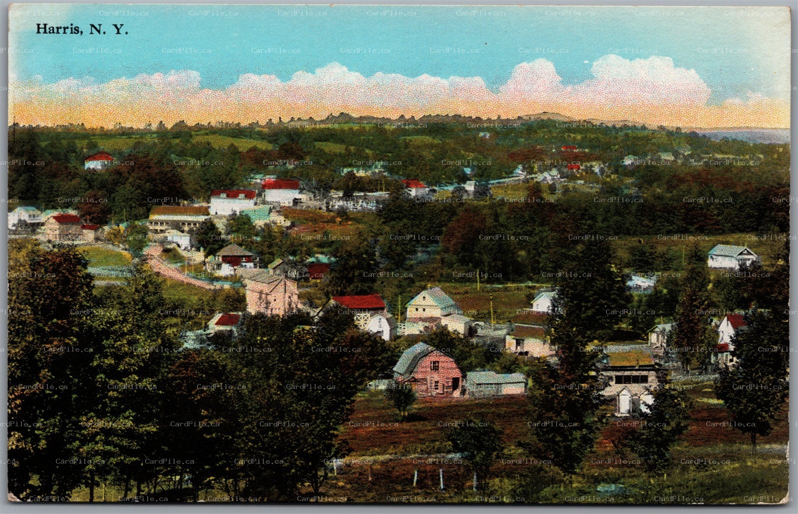 Postcard Harris New York General Scenic View of Village Sullivan County