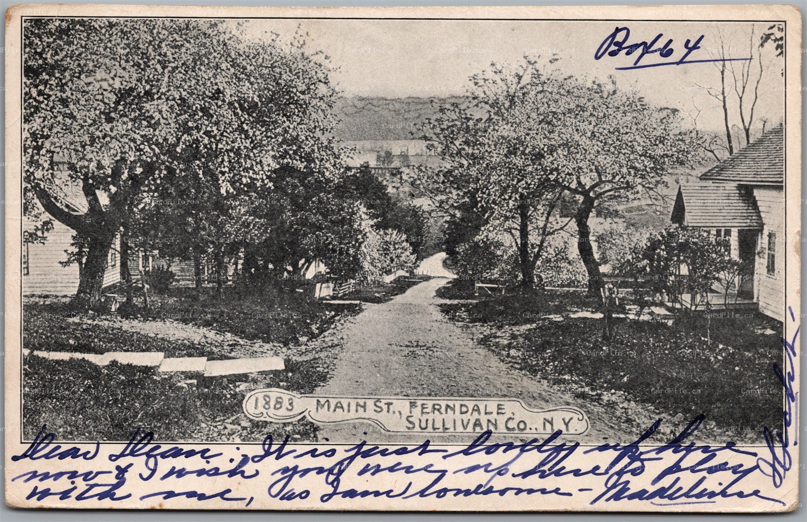 Postcard Ferndale New York 1908 Main Street Sullivan County Doane Cancel