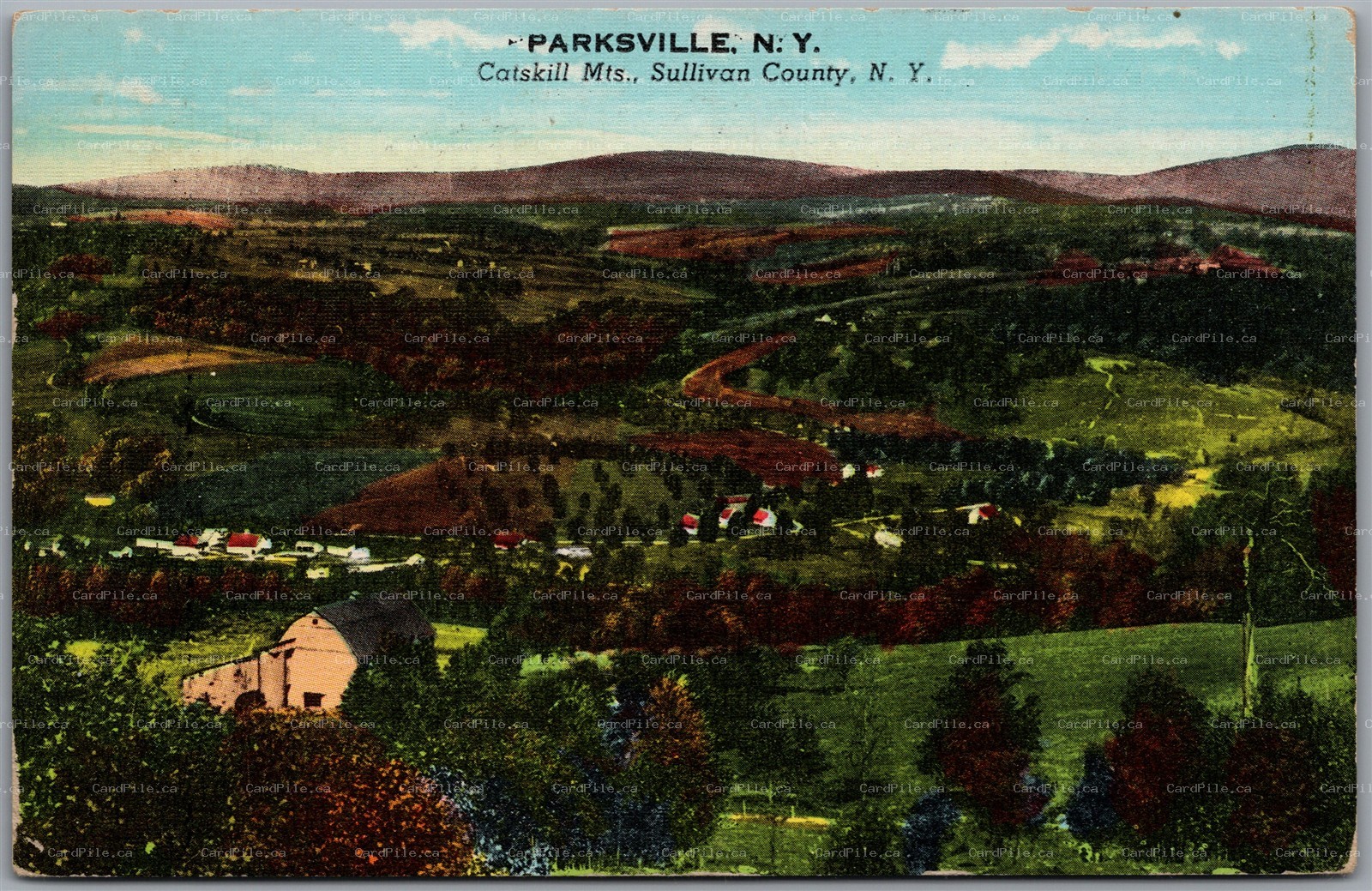 Postcard Parksville New York 1948 Catskill Mountains Scenic View Sullivan County