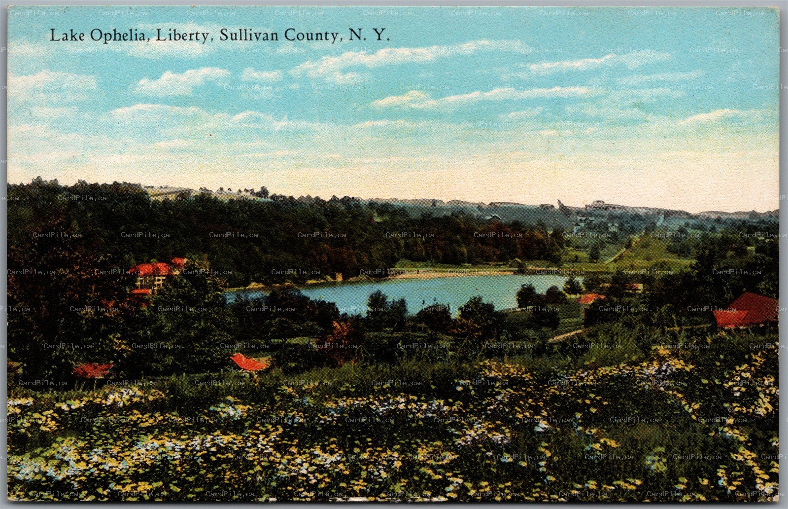 Postcard Liberty New York Looking Lake Ophelia Scenic View Sullivan County