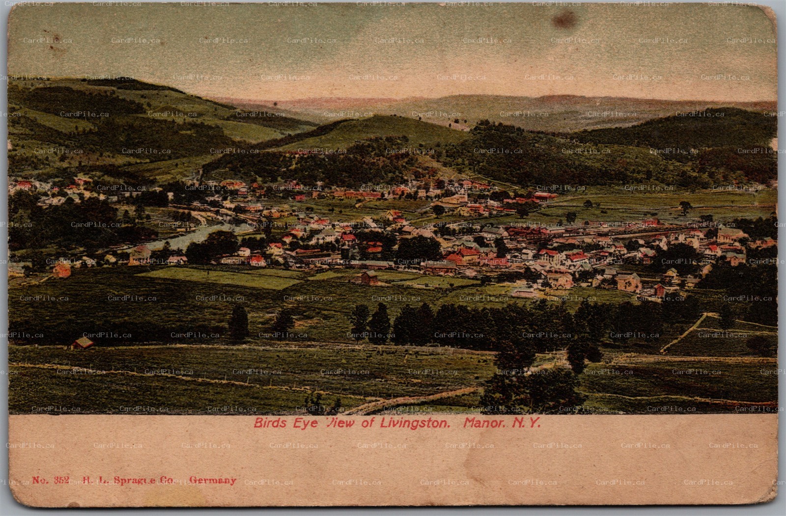 Postcard Livingston Manor New York Bird’s Eye View byH. L. Sprague Co.