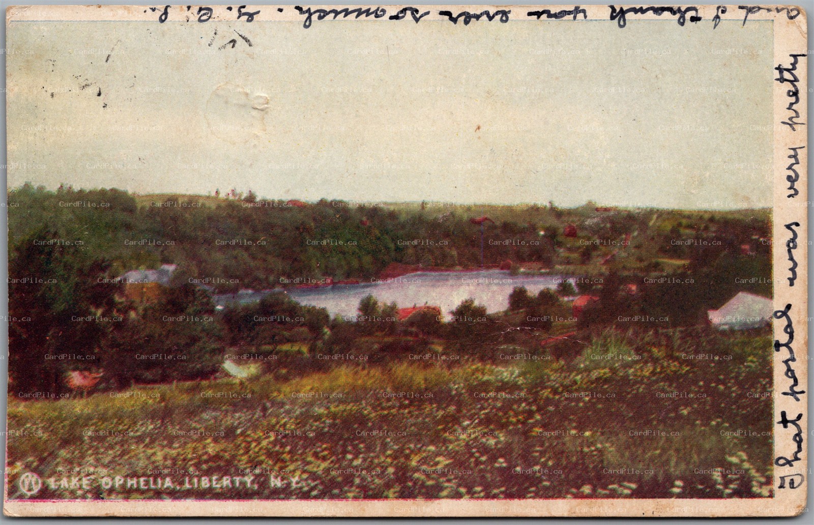 Postcard Liberty New York c1906 Lake Ophelia by N.Y., O. & W. Ry.
