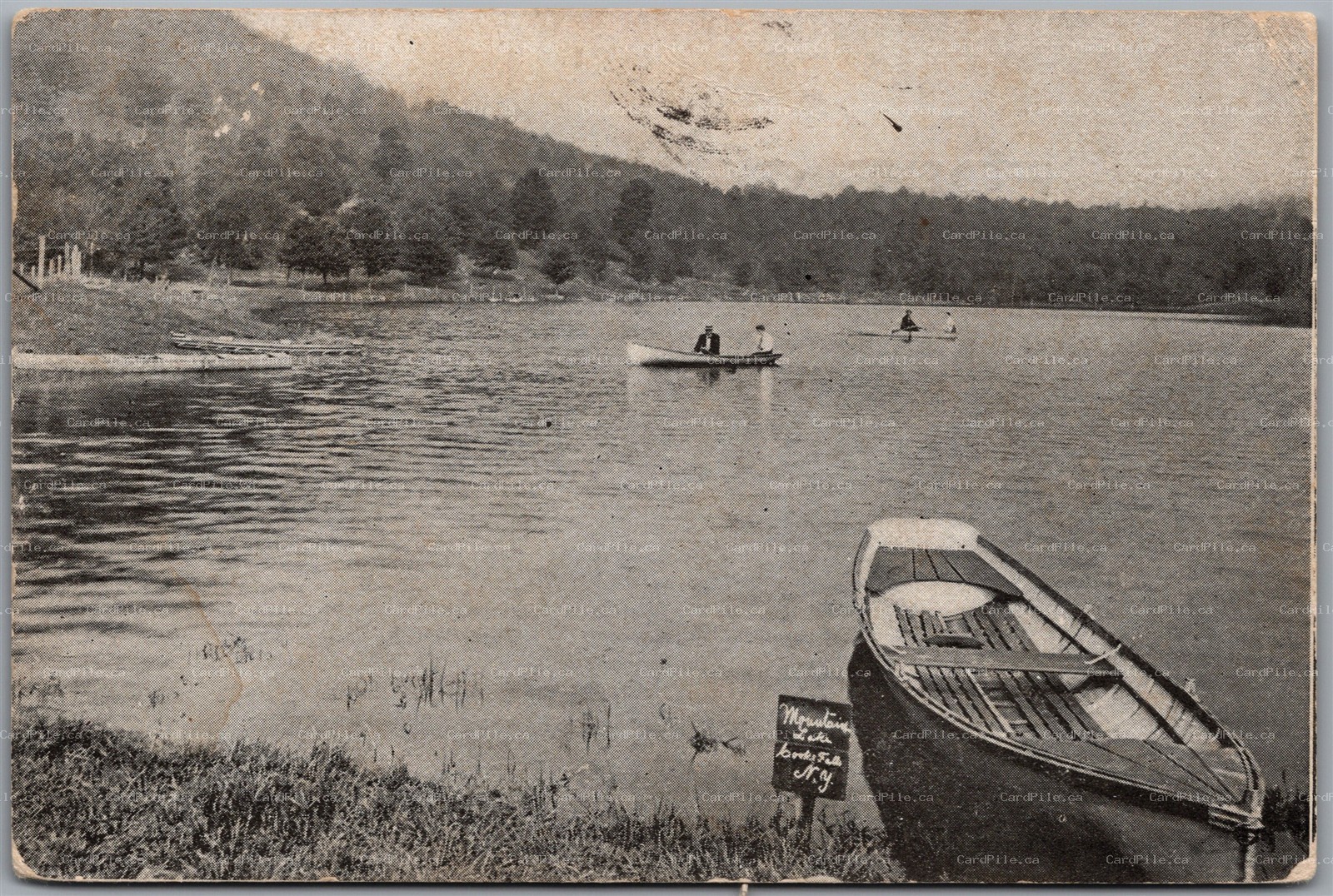 Postcard Livingston Manor New York 1907 Mountain Lake Cooks Falls Cancel