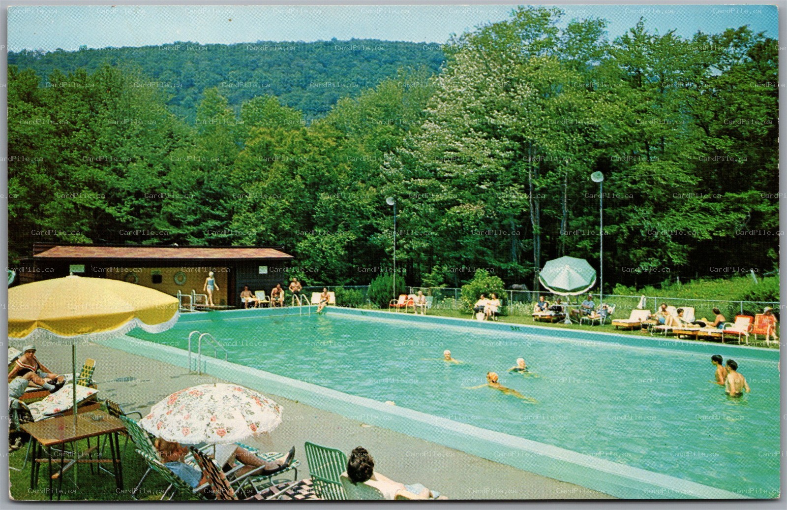 Postcard Roscoe New York c1963 The Campbell Inn Swimming Pool Sullivan County