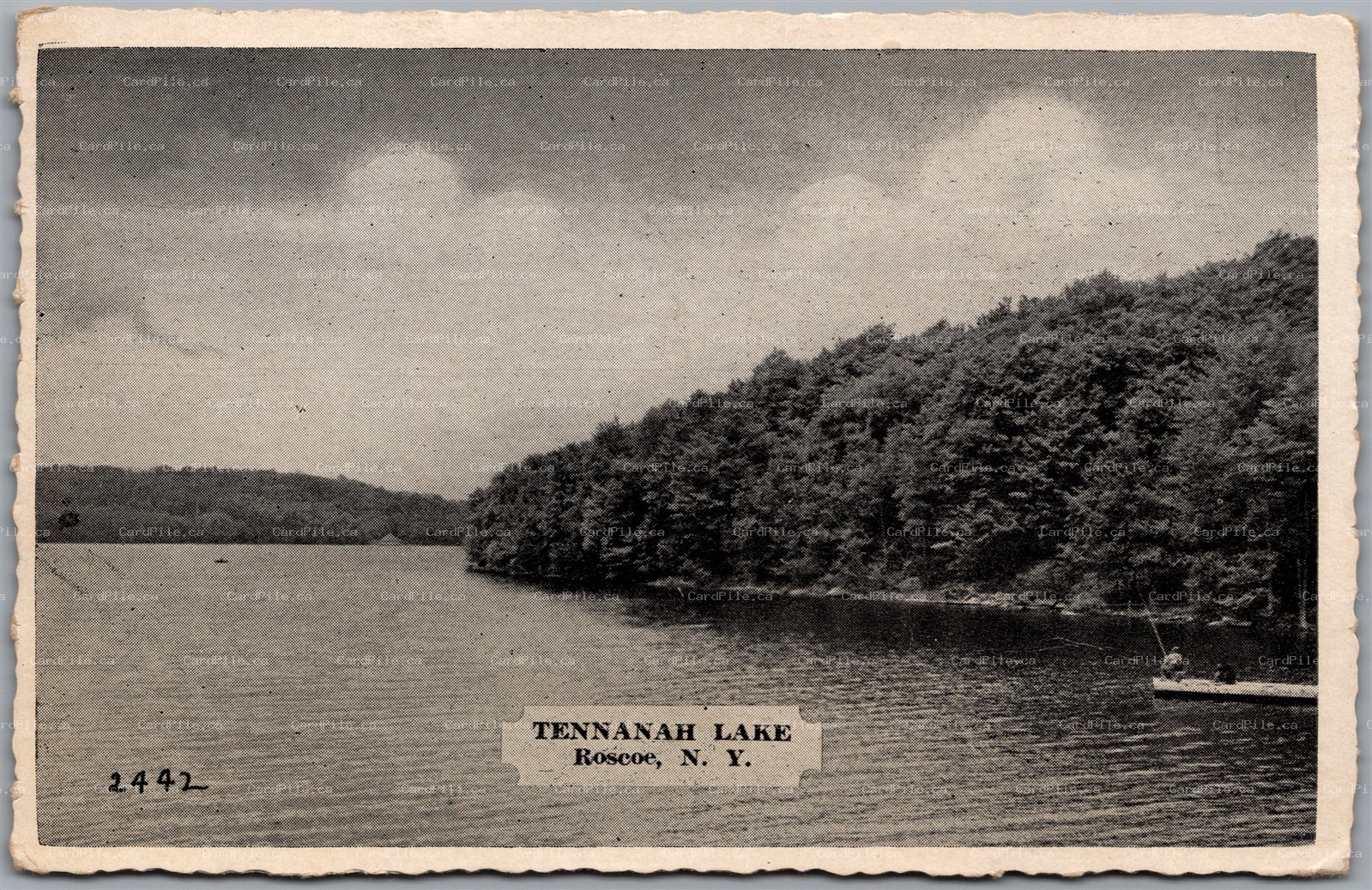 Postcard Roscoe New York c1945 Tennanah Lake Scenic View Sullivan County
