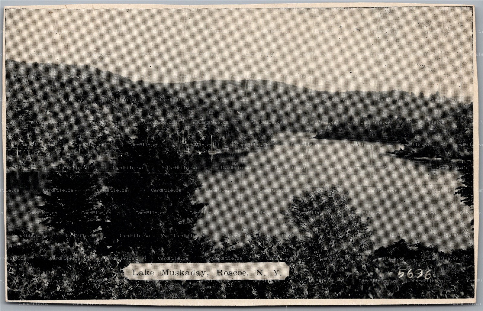 Postcard Roscoe New York Lake Muskaday Scenic View Sullivan County *as is*