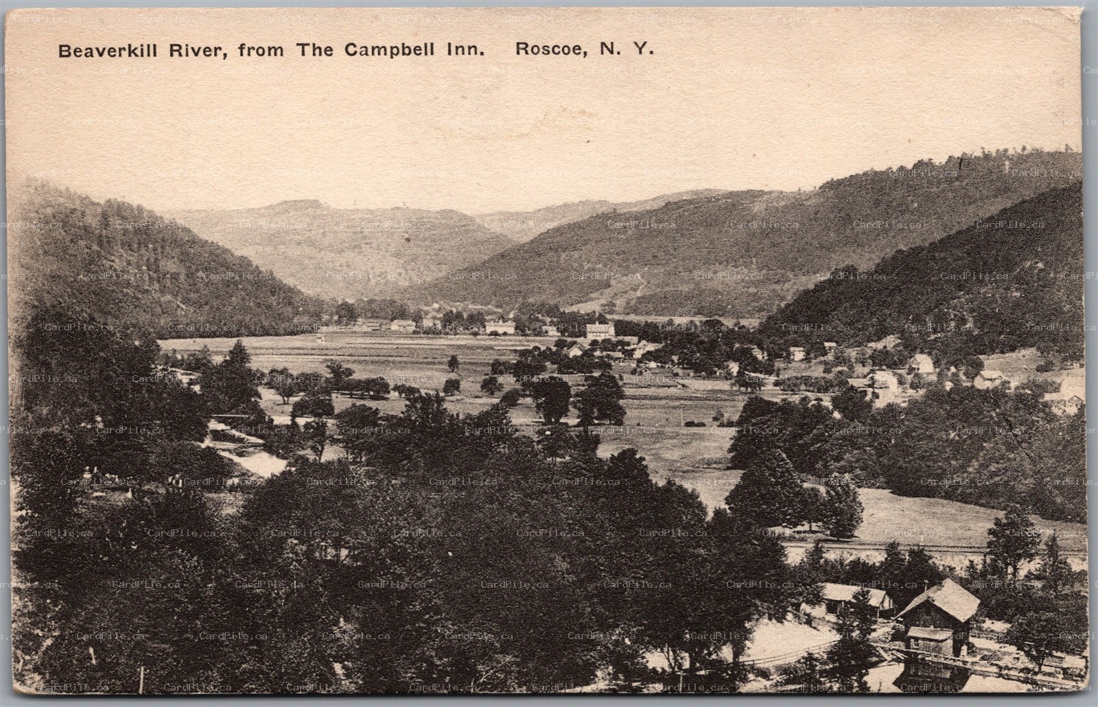 Postcard Roscoe New York Beaverkill River from The Campbell Inn Sullivan County