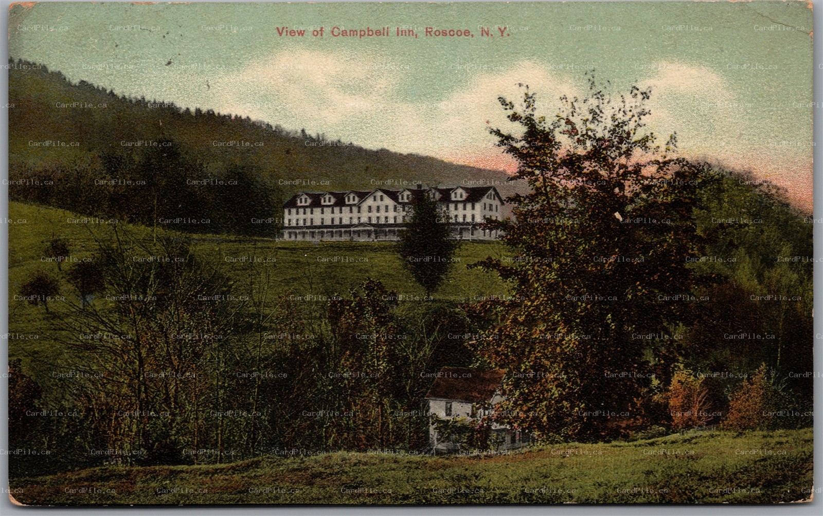Postcard Roscoe New York c1910s Scenic View of Campbell Inn Sullivan County