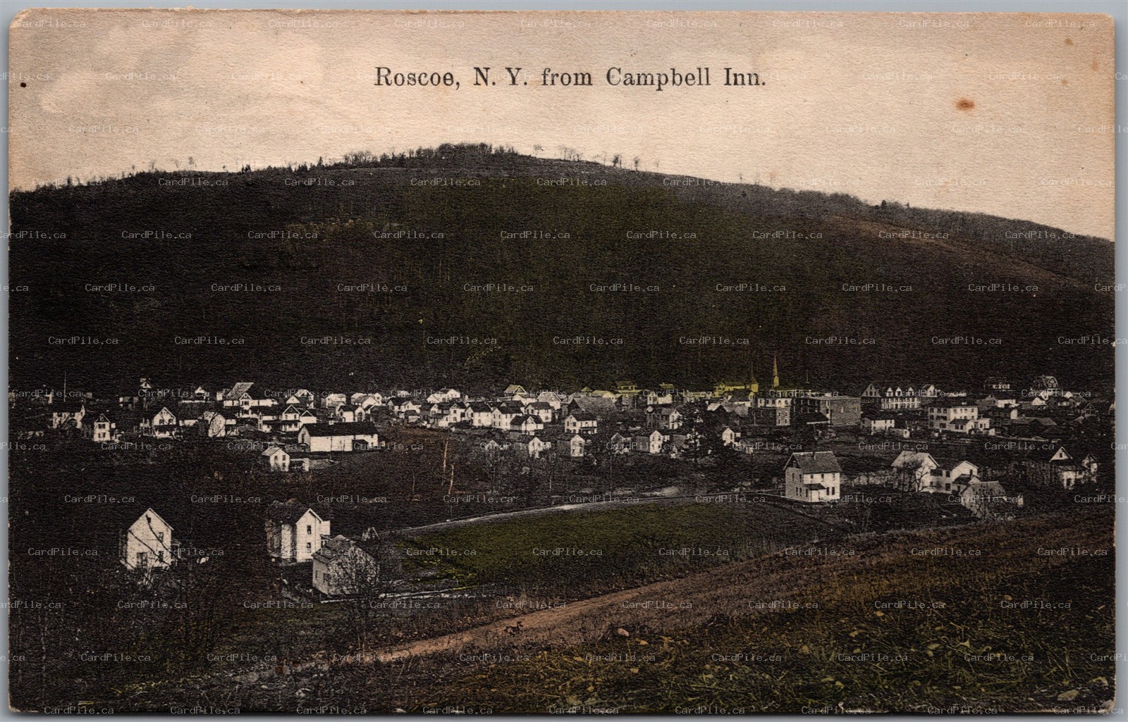 Postcard Roscoe New York c1908 View from Campbell Inn Sullivan Co. to Willowemoc