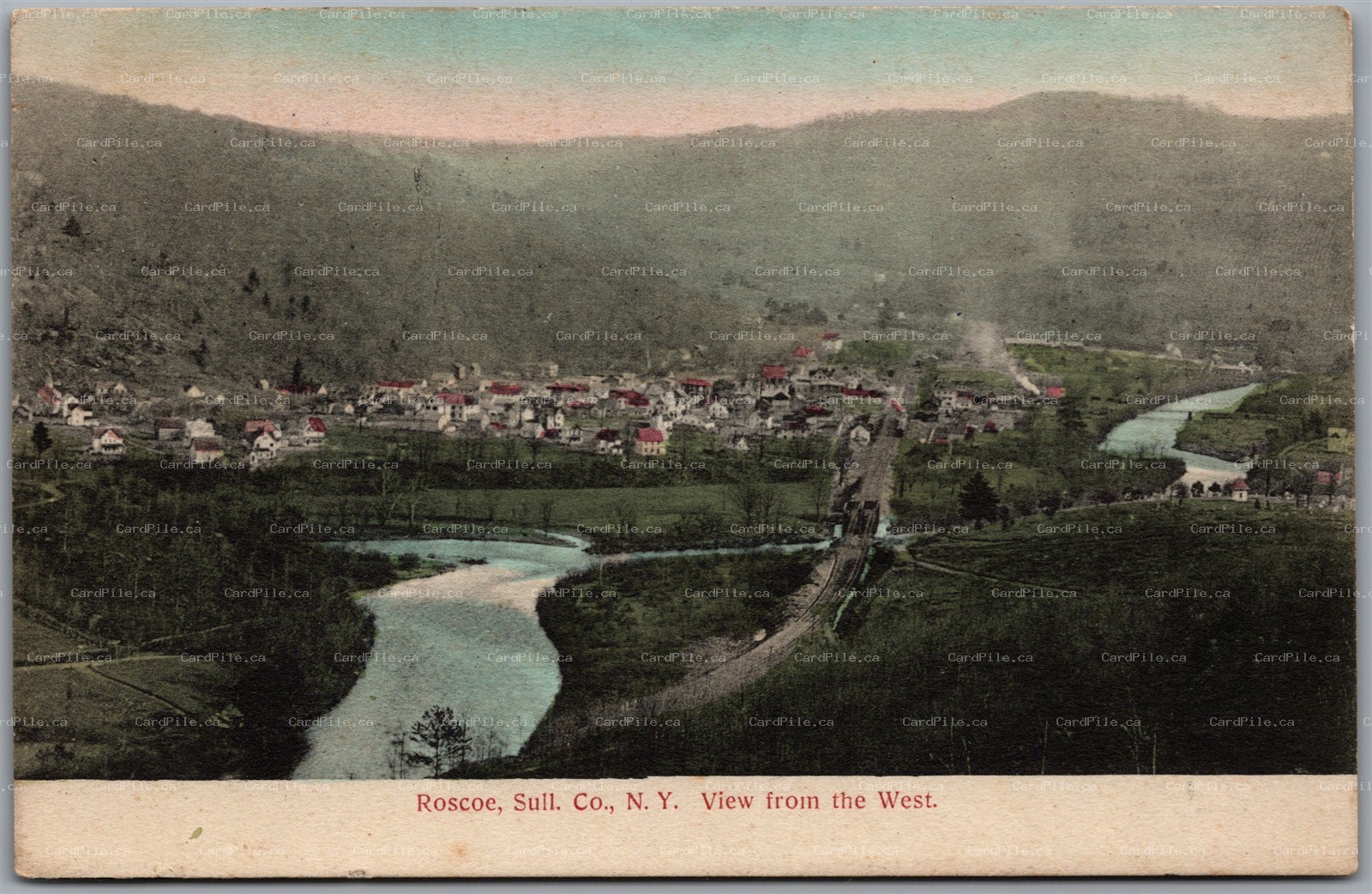 Postcard Roscoe New York c1913 Scenic View from the West Sullivan County