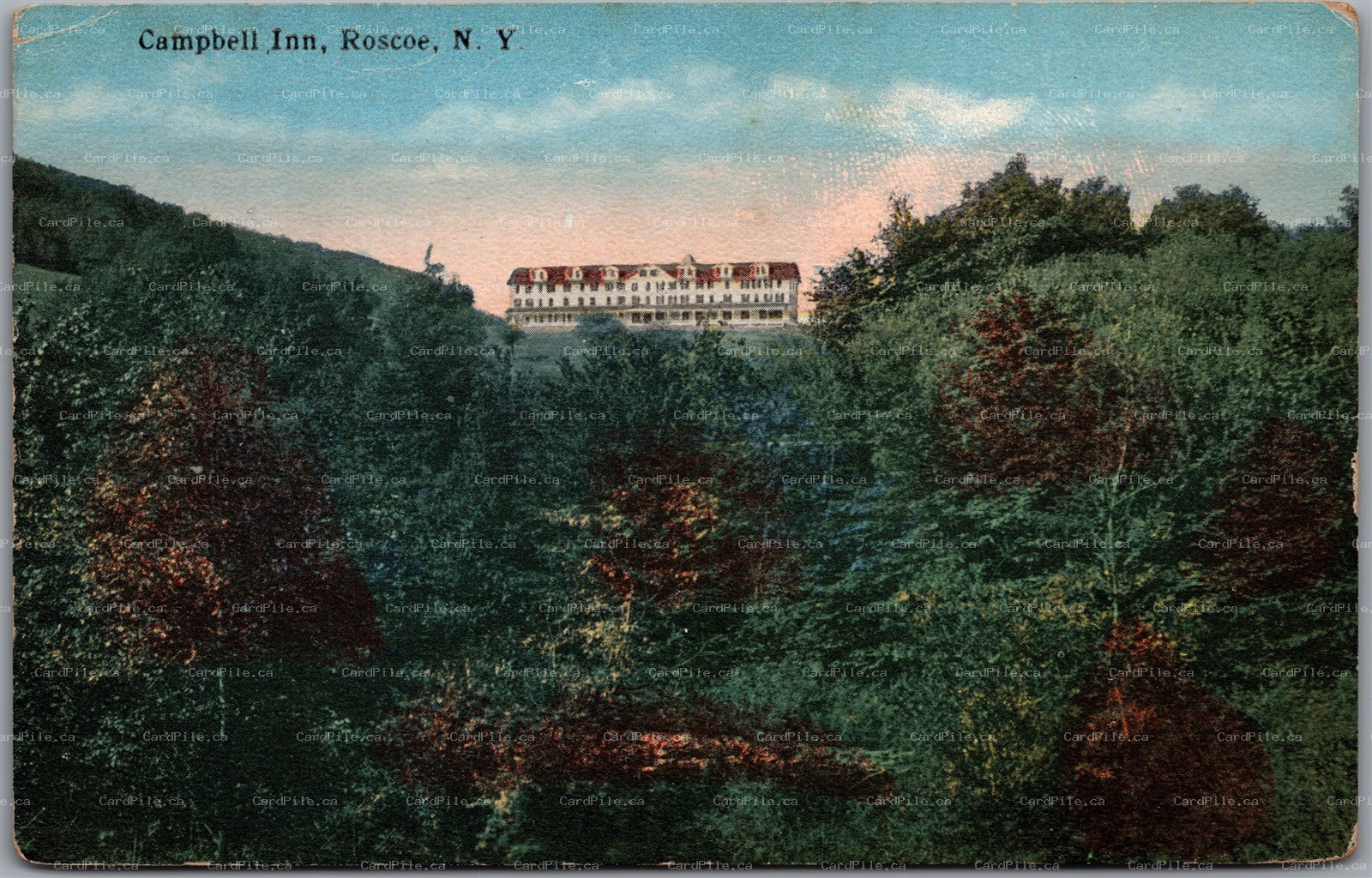 Postcard Roscoe New York The Campbell Inn Scenic View Sullivan County
