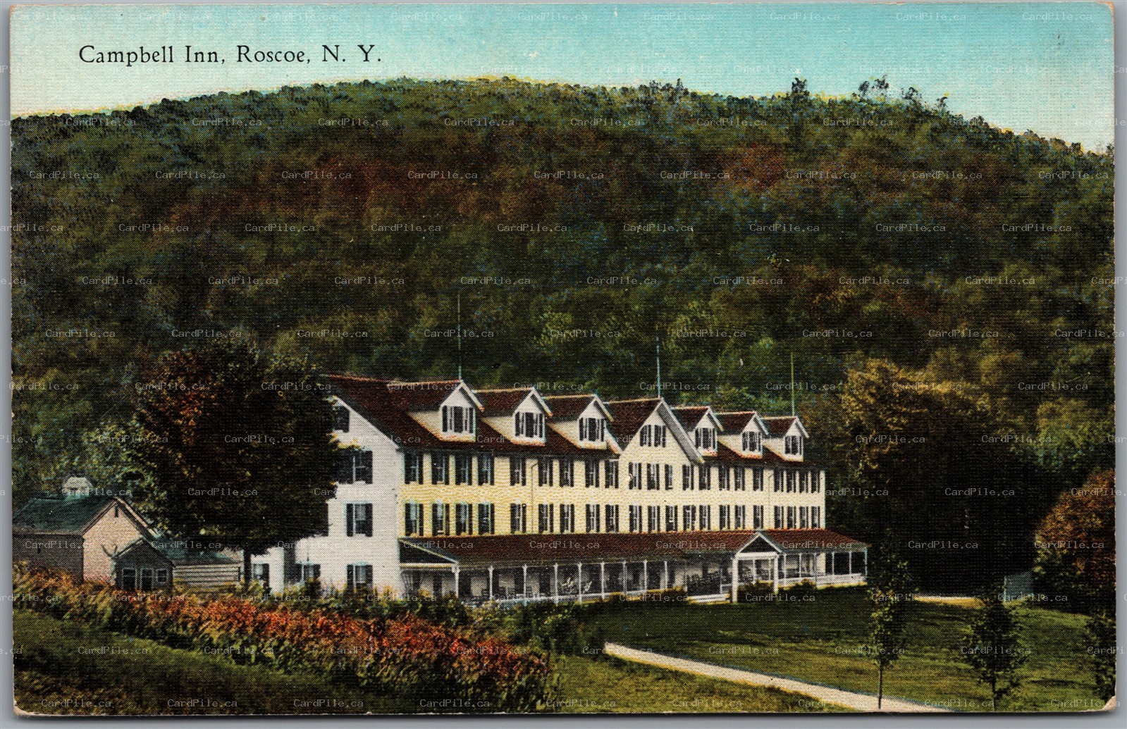 Postcard Roscoe New York 1910s Campbell Inn Sullivan County