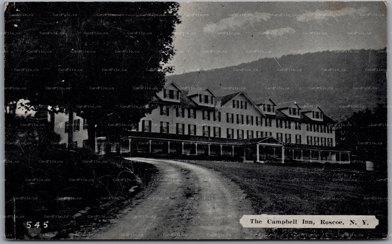 Postcard Roscoe New York c1910s Campbell Inn Sullivan County Dexter Press