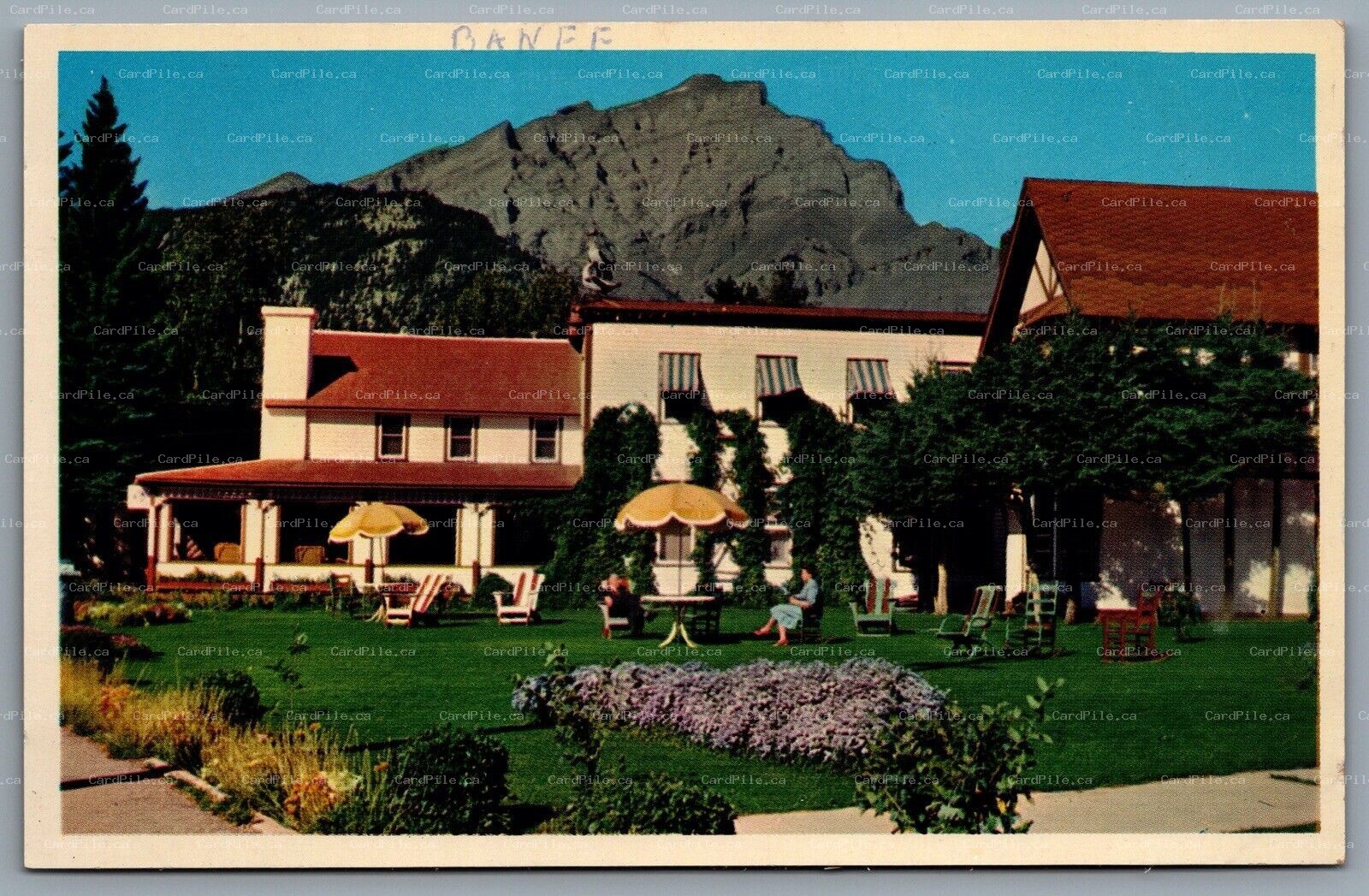 Postcard Banff Alberta c1950s Homestead Hotel