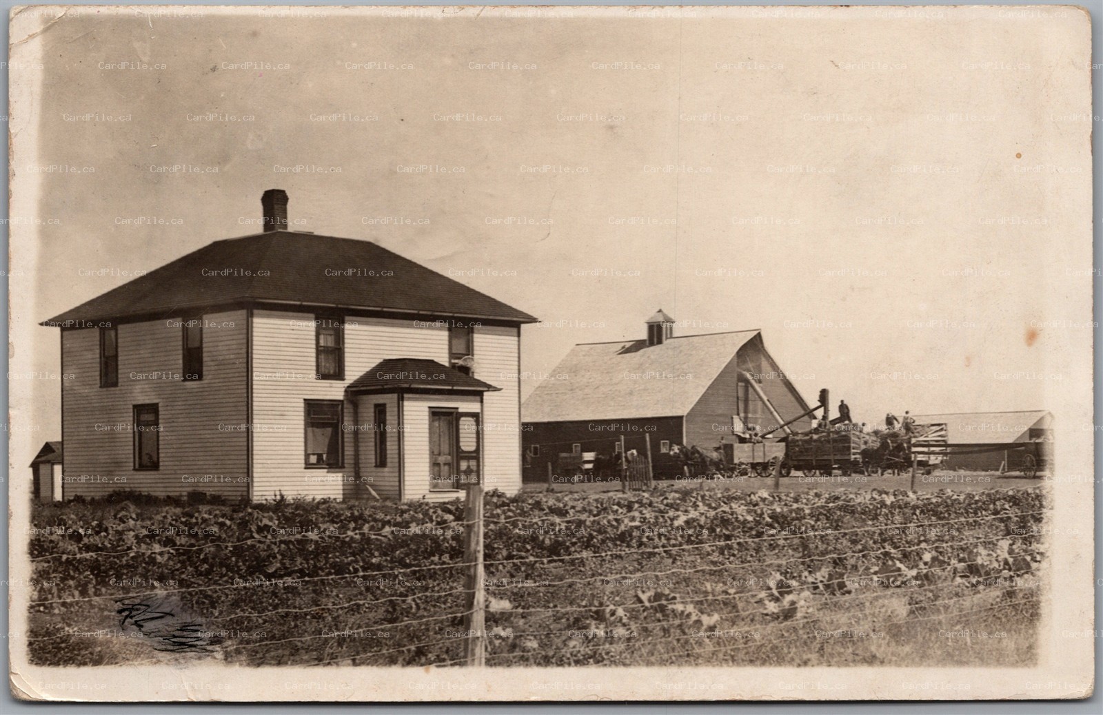 Postcard RPPC 1914 Split Ring Cancel Briercrest Saskatchewan to Wrexham England