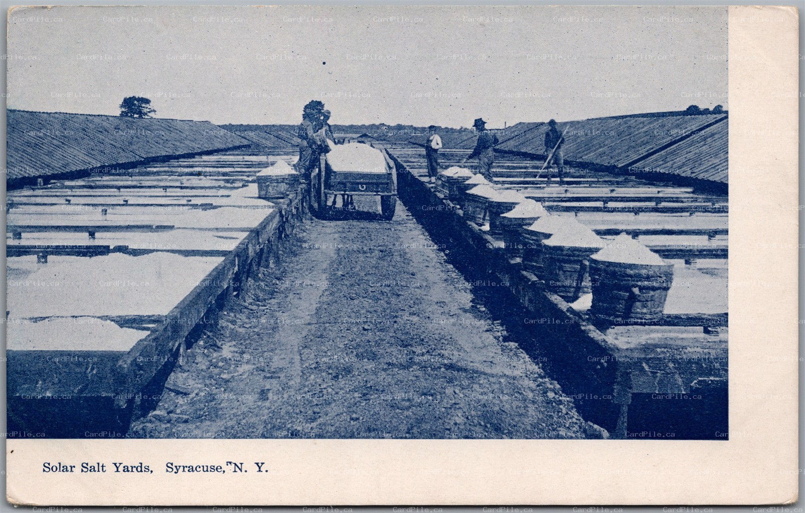 Postcard Syracuse New York c1900s Solar Salt Yards